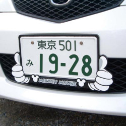 Car Goods