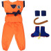 Dragon Ball Kai Tran Trip Costume